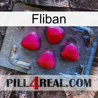 Fliban 13